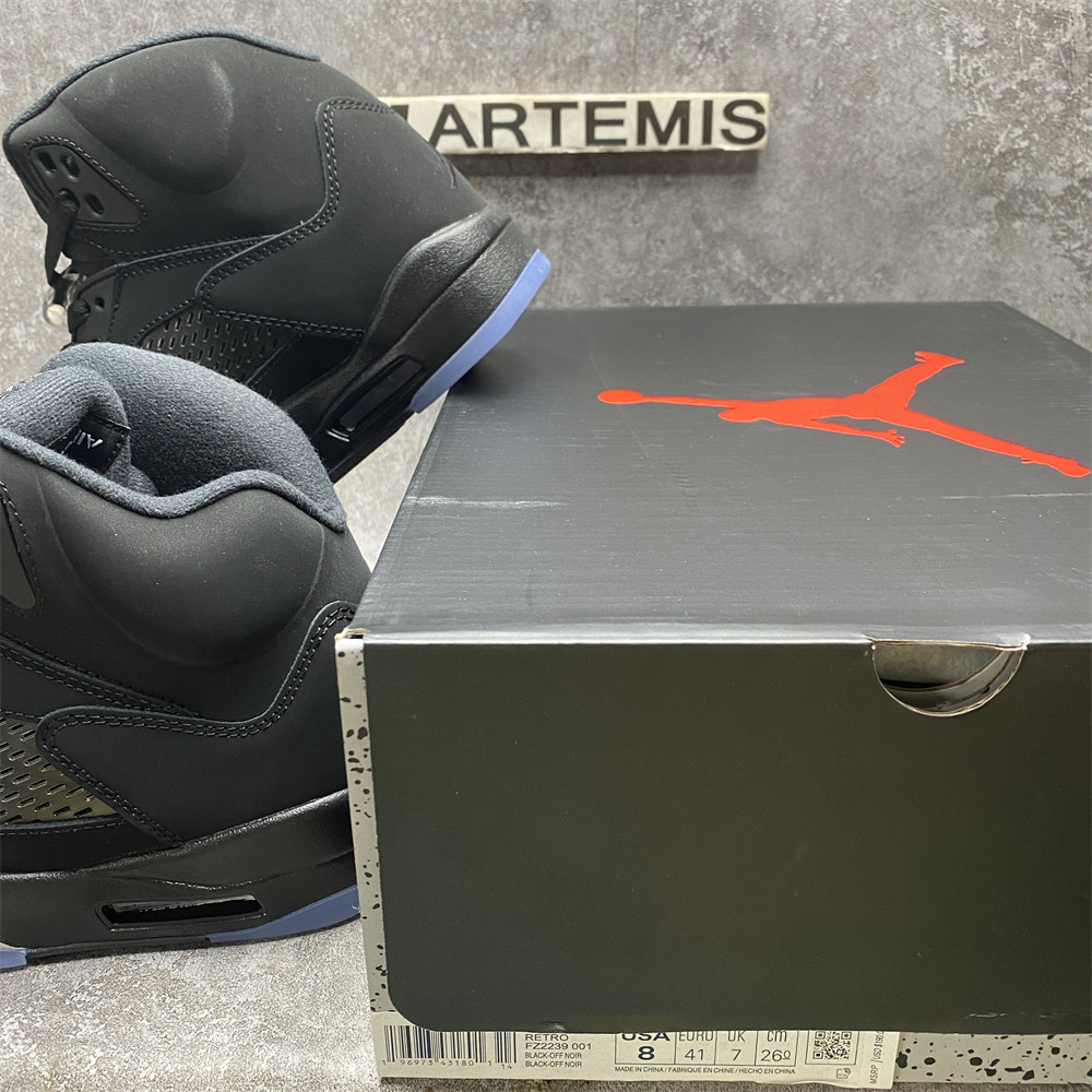 AIR JORDAN 5 RETRO SE 