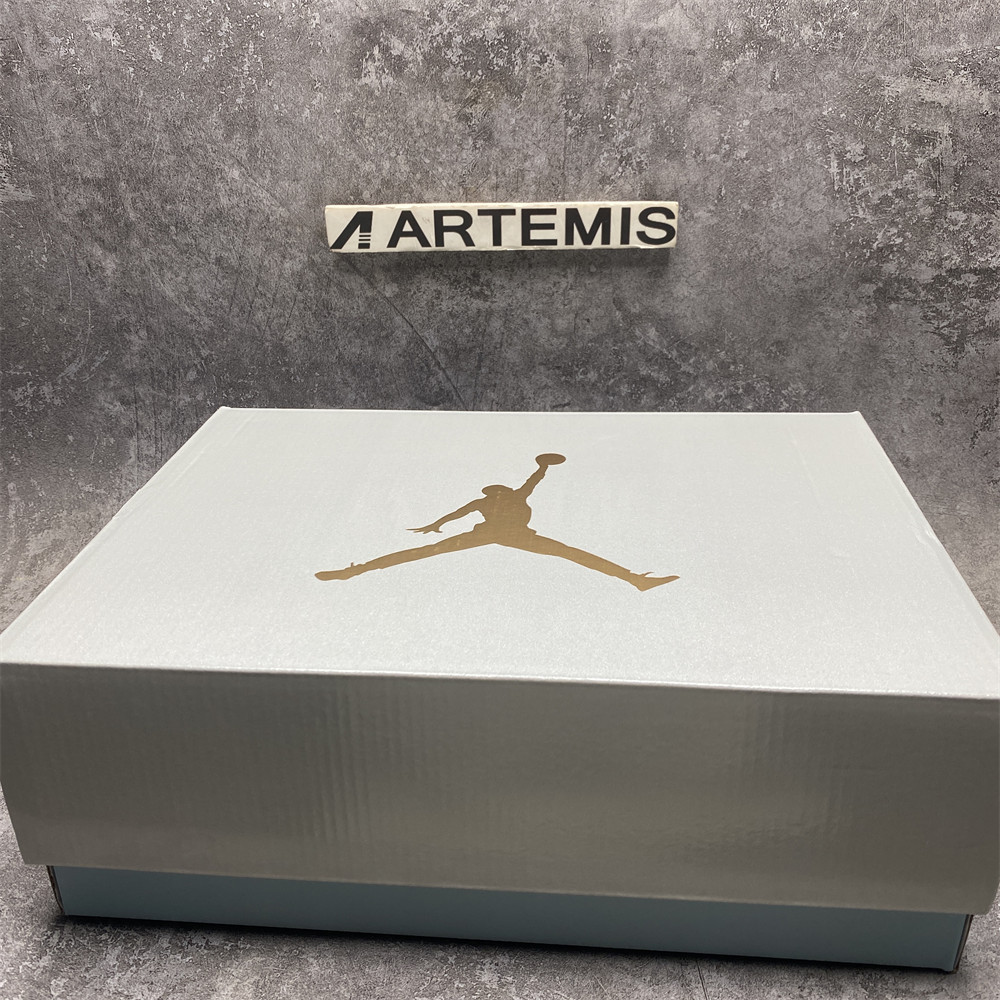 UA Air Jordan 6 Retro "Paris Olympics"