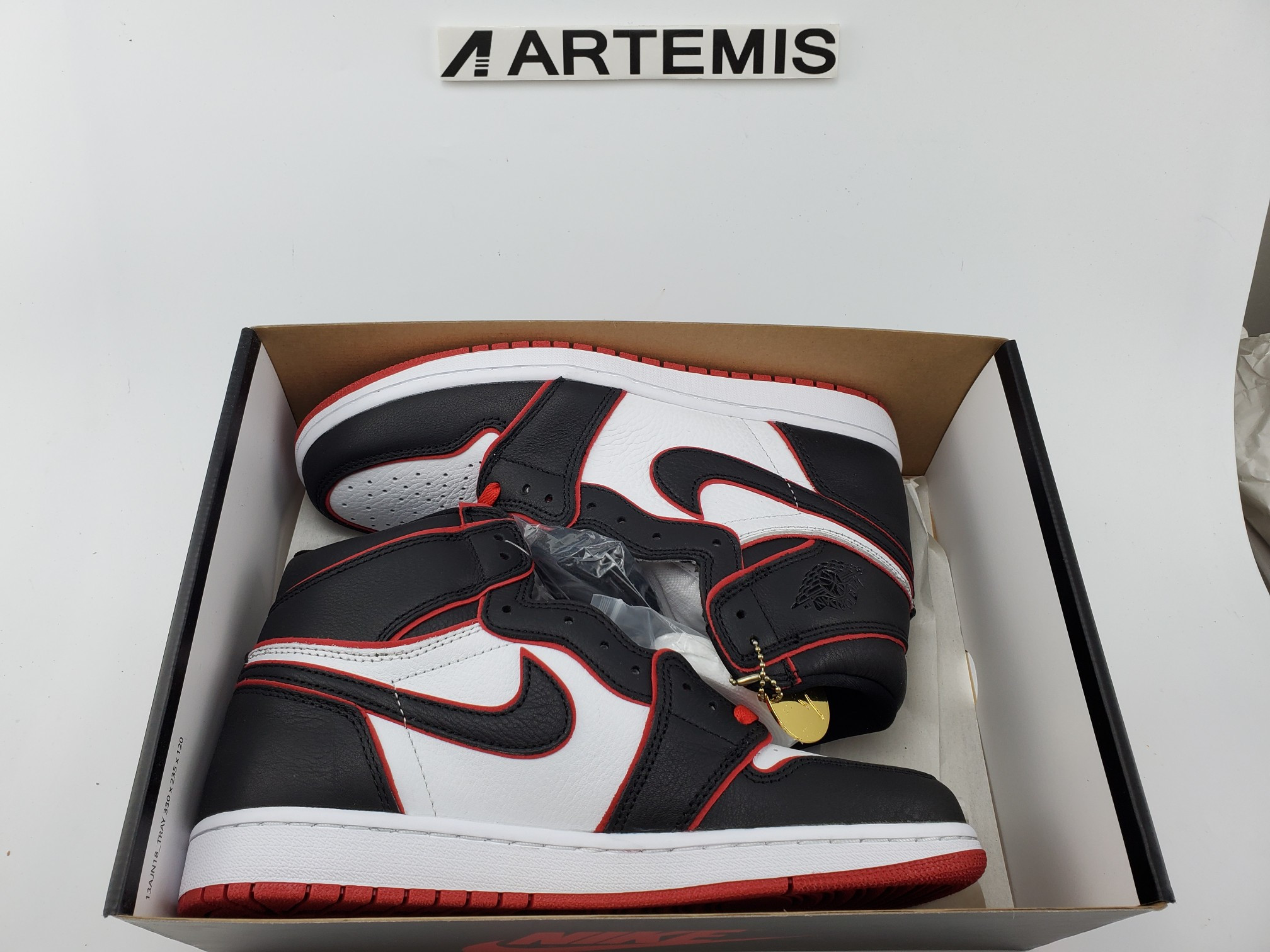 Air Jordan 1 High "Meant To Fly"