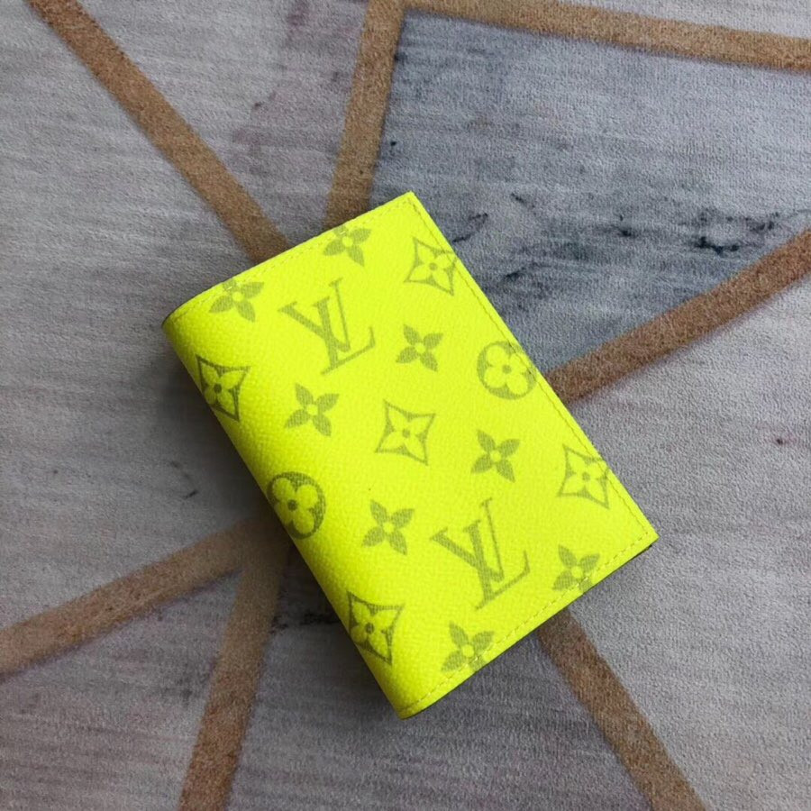 LV Passport cover