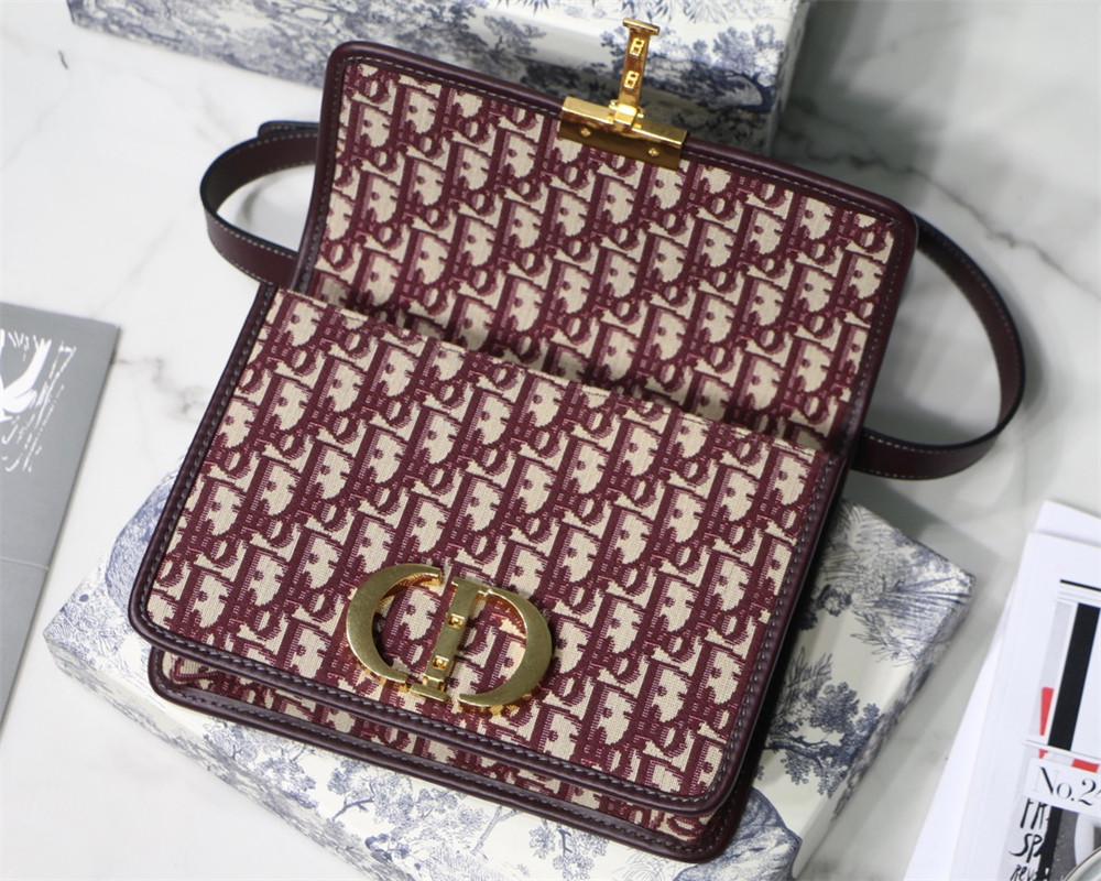 D*or 30 montaigne chain bag rosered 24x18x8 cm