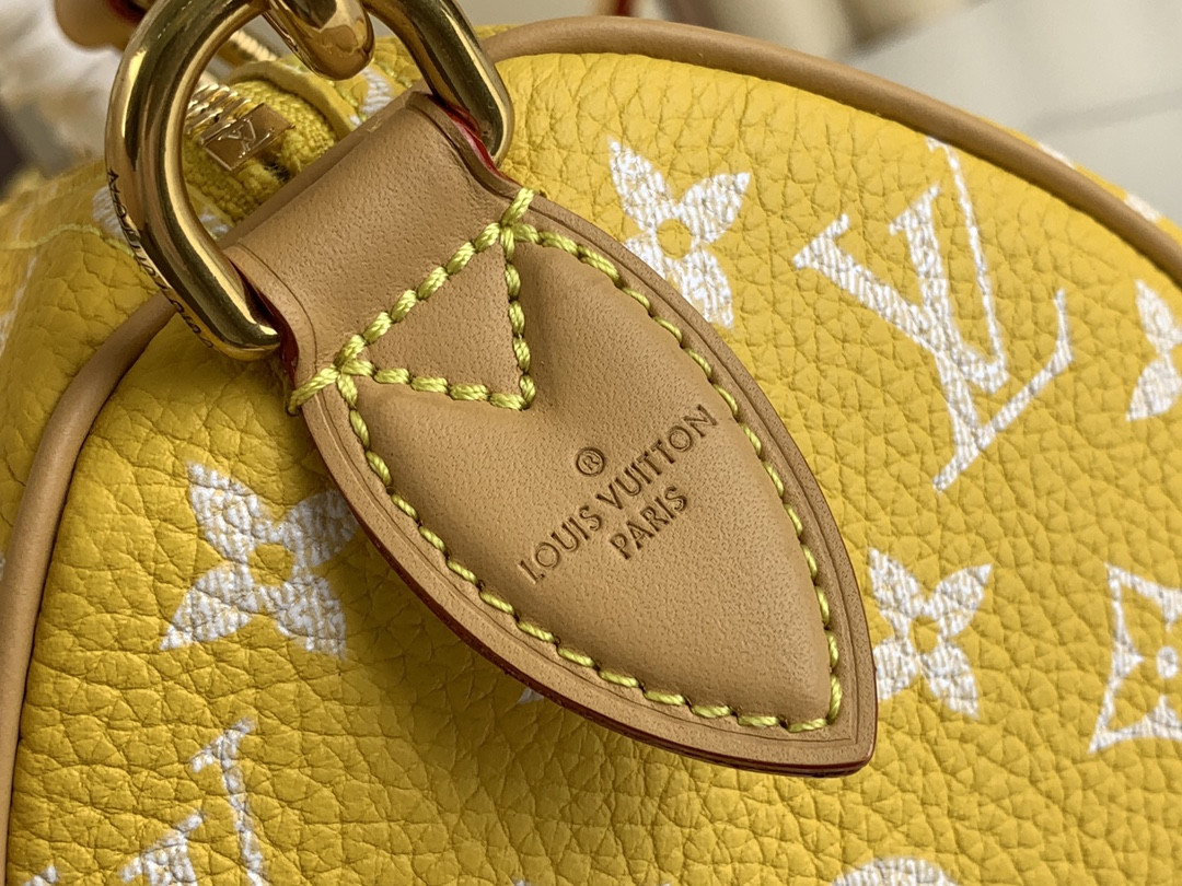 LV SPEEDY BANDOULIÈRE25 M24426