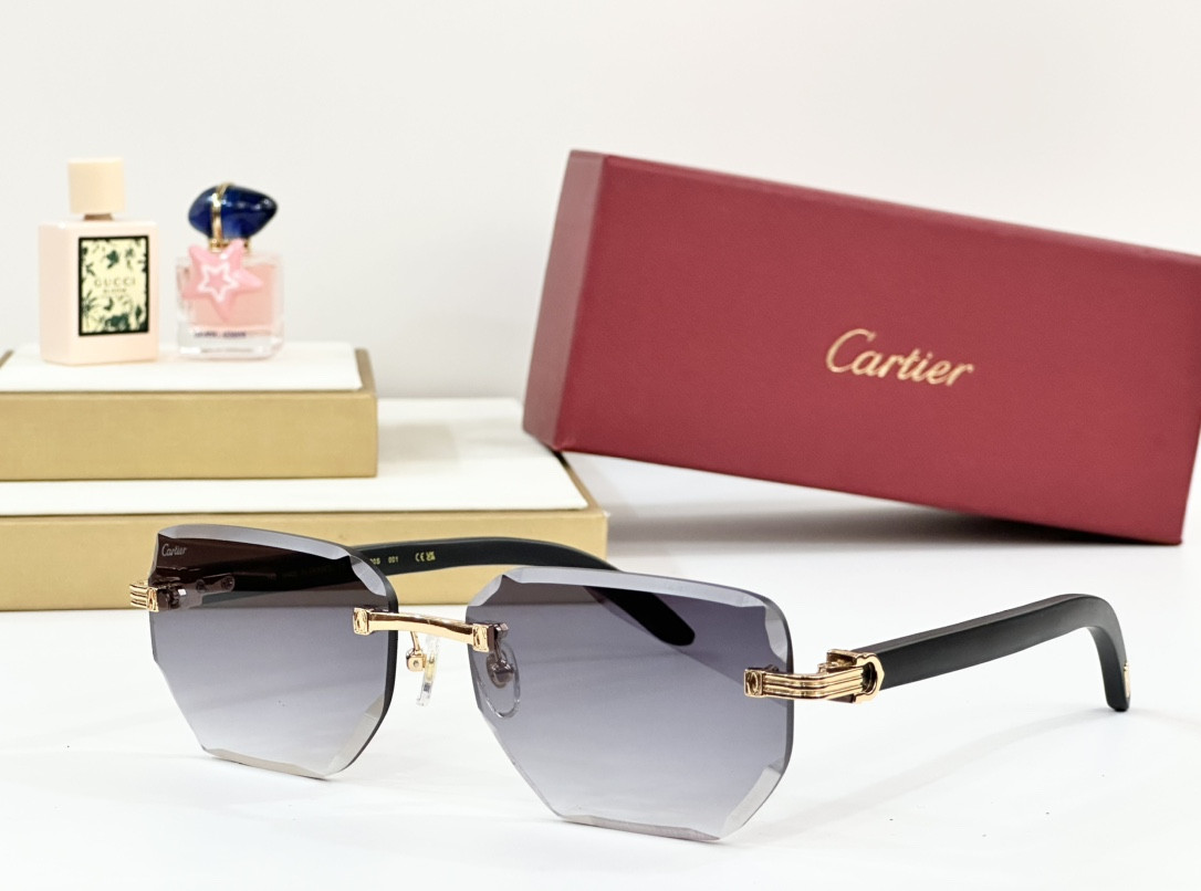 Ca*t*er glasses paris ct0620s