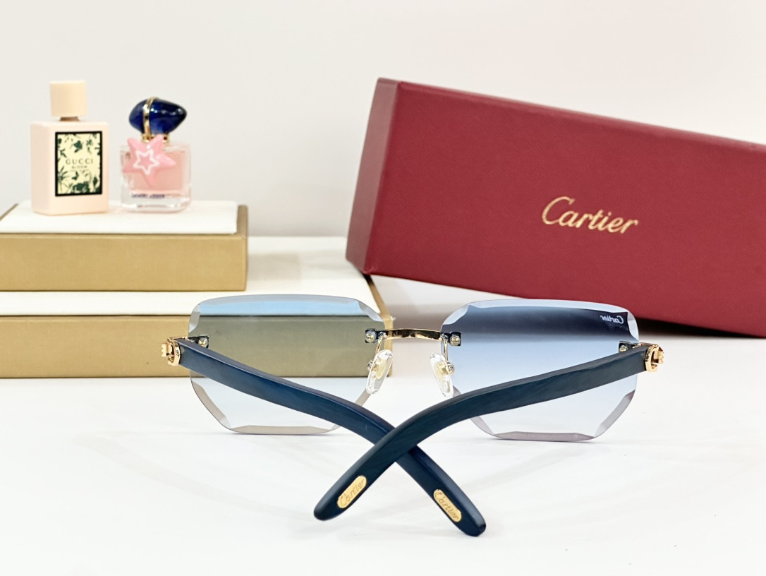 Ca*t*er glasses paris ct0620s