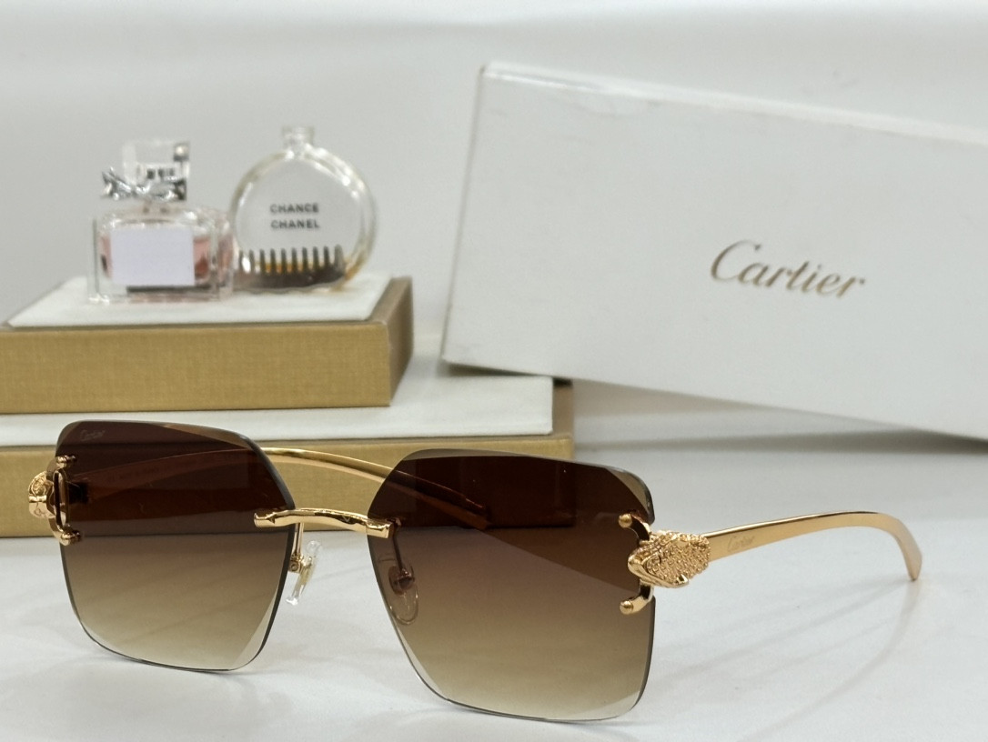 Ca*t*er glasses ct0647 60-17-145